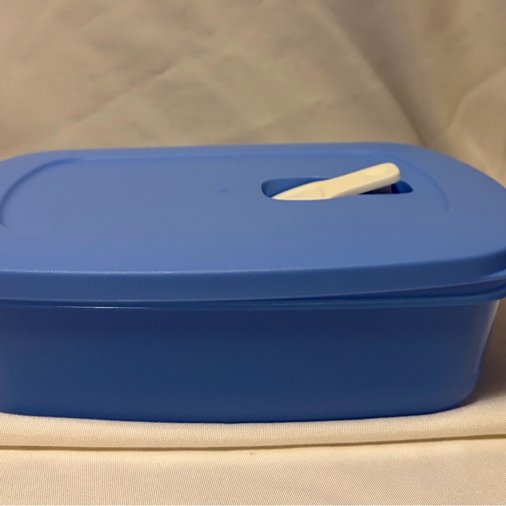 Tupperware Blue Storage Box